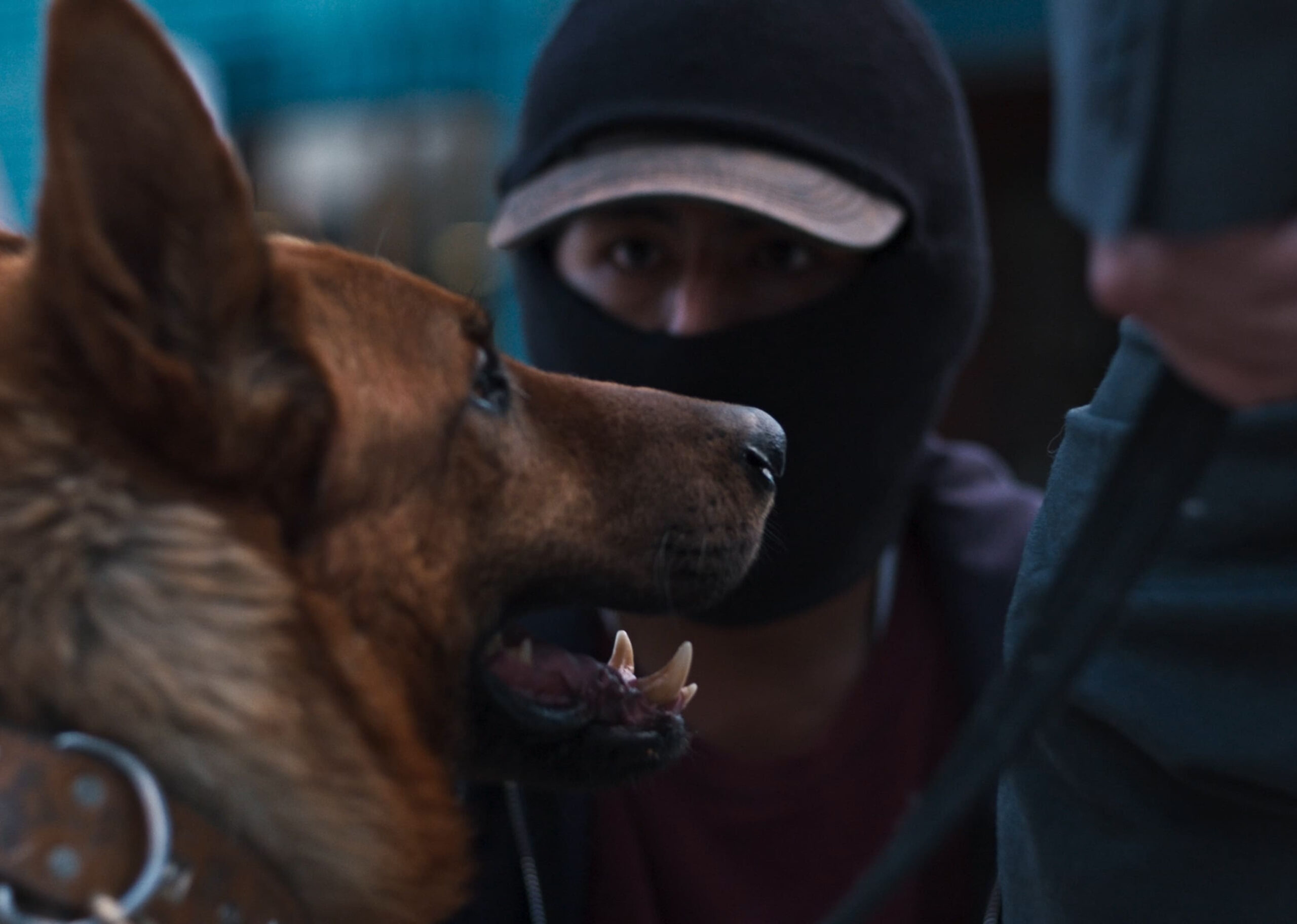 La coproduzione italiana con movimento film “El ladrón de perros” di Vinko Tomicic in anteprima al Tribeca